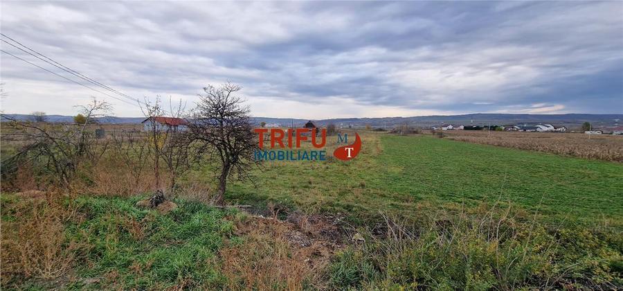 Teren Construcții intravilan de 2160 mp, în Partoș