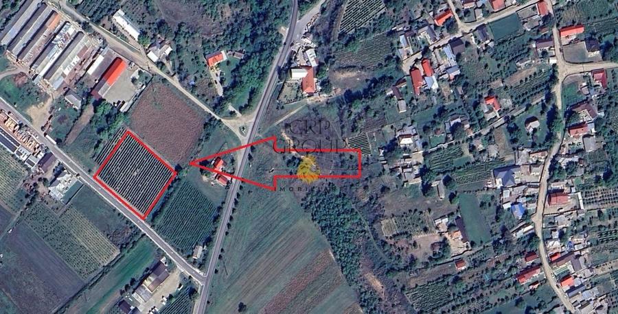 Teren Construcții intravilan de 2700 mp, în Movilița