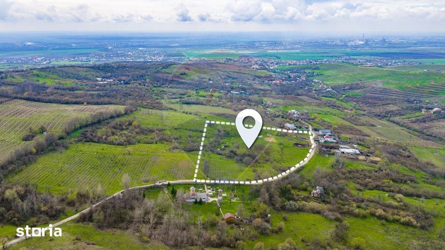 Teren de 33500 mp, în Bucov