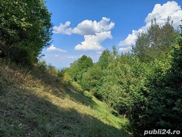 Teren de 3000 mp, în Măguri