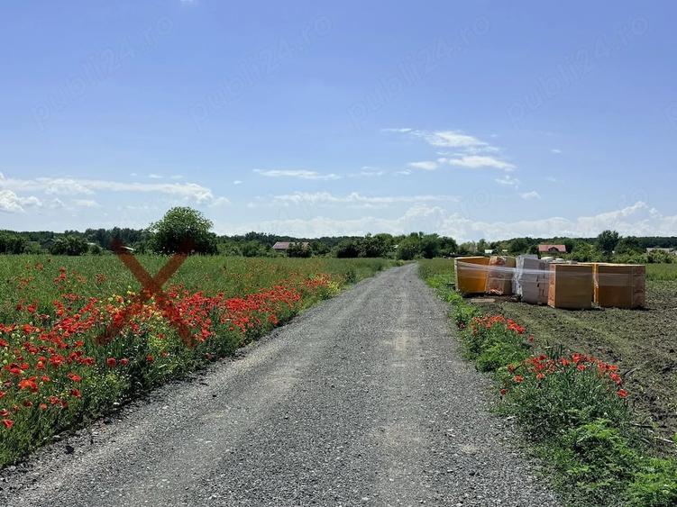 Teren de 5000 mp, în Mihai Vodă