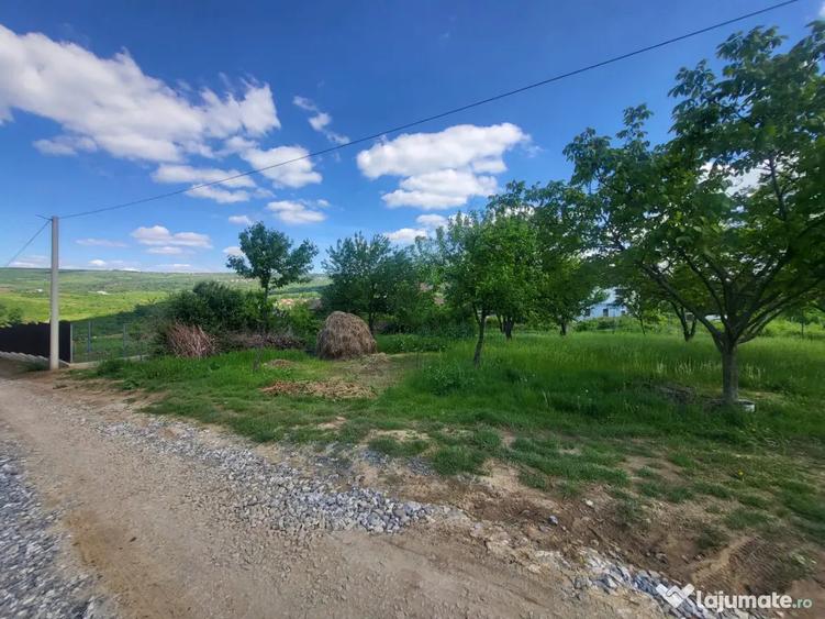 Teren de 900 mp, în Bârnova