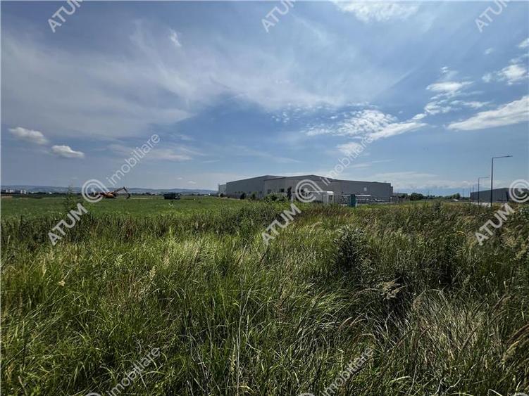 Teren intravilan de 6000 mp zona Industriala de Vest din Sibiu - 2