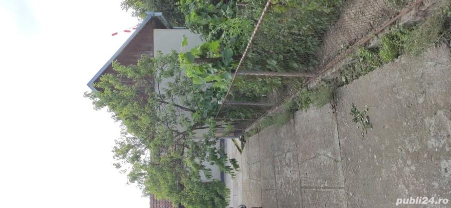 Casă cu 2 camere cu Teren 4384 Mp în Ilișua