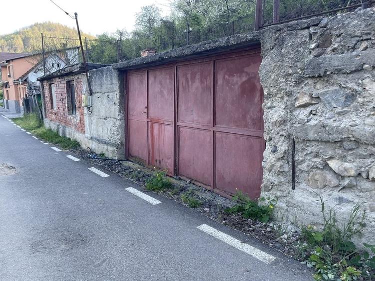 Casă cu 3 camere în Mehadia