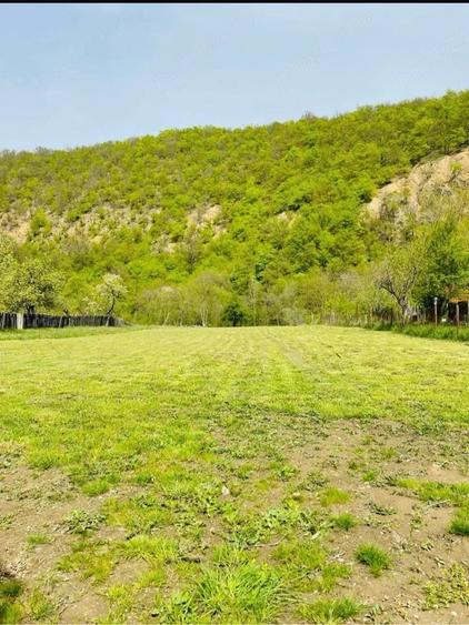 Teren de 2527 mp, în Schitu Topolniței