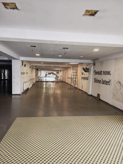 Spațiu comercial, de 450 mp, în Dosu Bricii