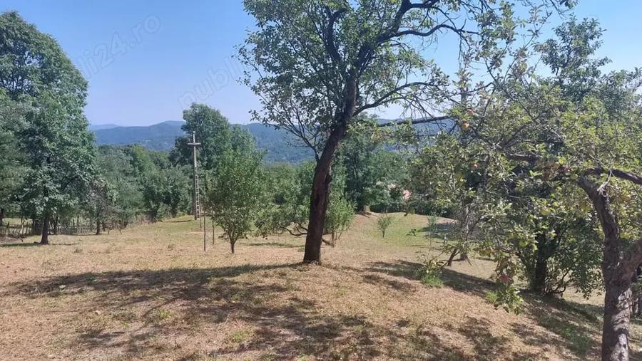 Teren de 2000 mp, în Pietriceaua
