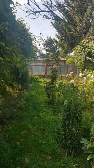 Teren de 504 mp, în Gherăiești