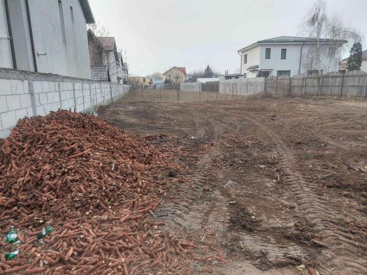 Spațiu comercial, în Chiajna