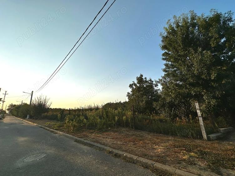 Teren de 480 mp, în Sânnicolau Mic