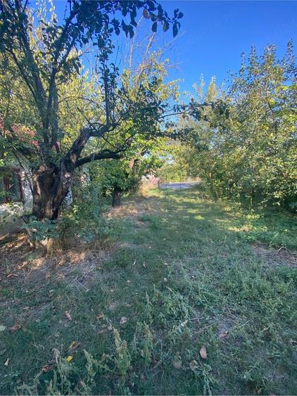 Casă cu 3 camere cu Teren 1600 Mp în Bujoreni