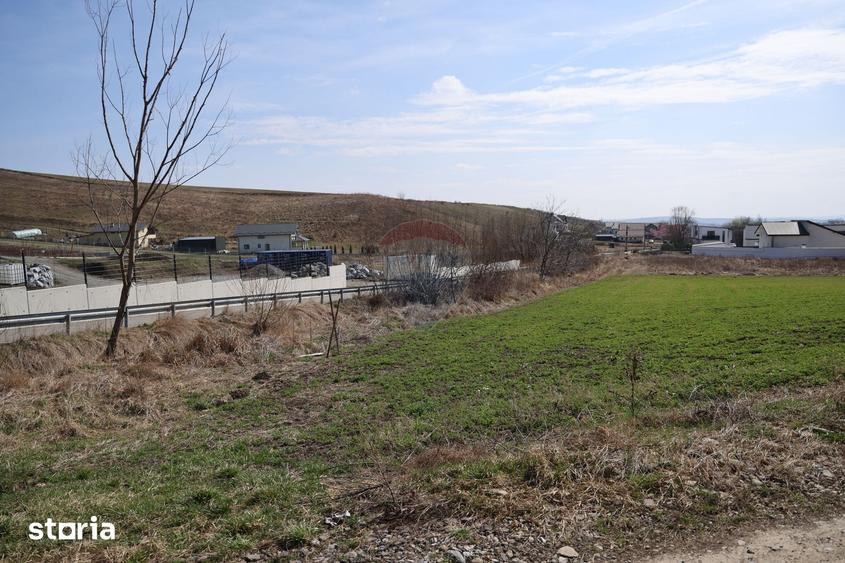 Teren de 3500 mp, în Moara