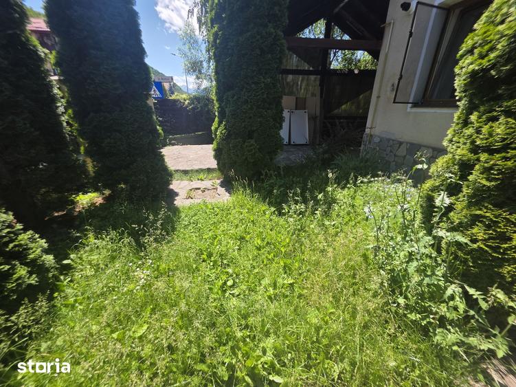 Casa pet friendly cu acces auto Bunloc Sacele -Timisul de Jos - 15