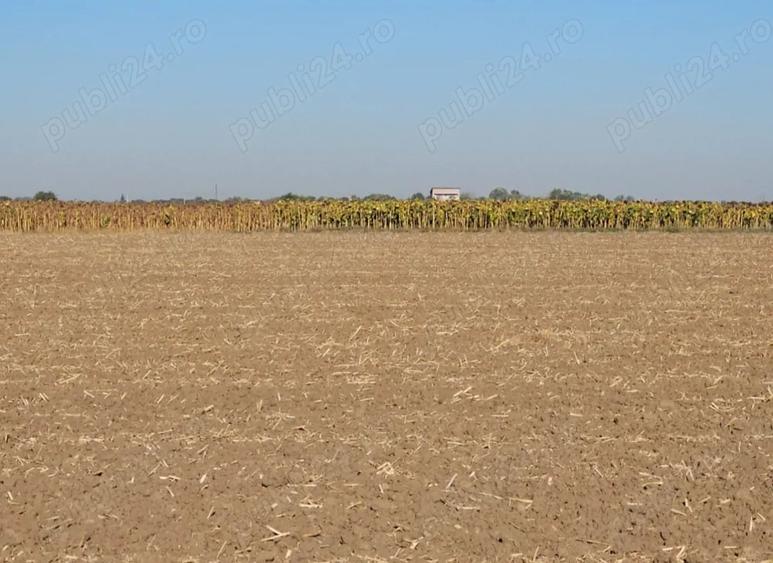 Teren de 1792 mp, în 1 Decembrie