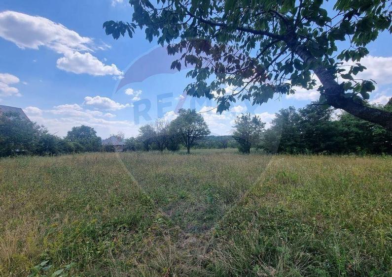Teren de 11622 mp, în Vălenii de Munte