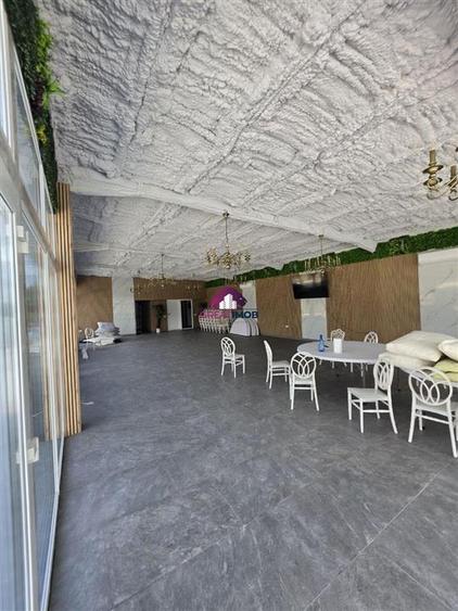 Casă individuală cu 9 camere cu Piscina în Snagov