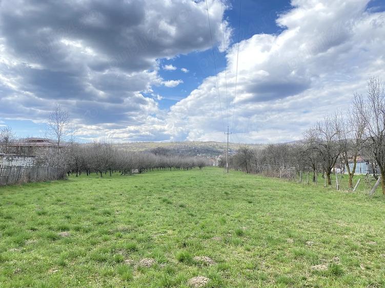 Teren de 7000 mp, în Berevoești