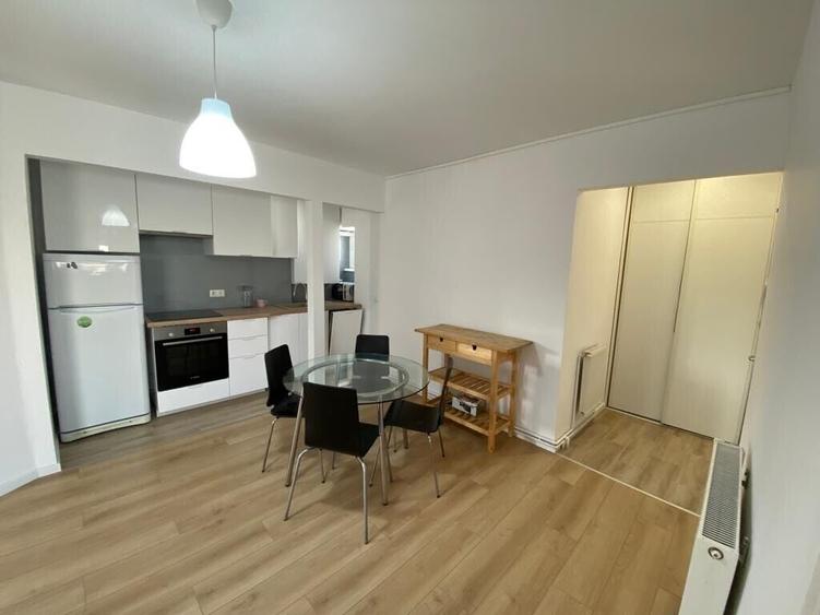 Apartament 2 camere, cu terasa, Calea Plevnei, Cismigiu - 5
