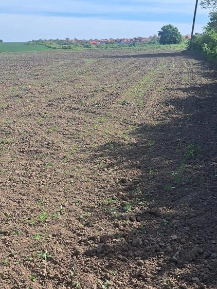 Teren de 20000 mp, în Bencecu de Sus