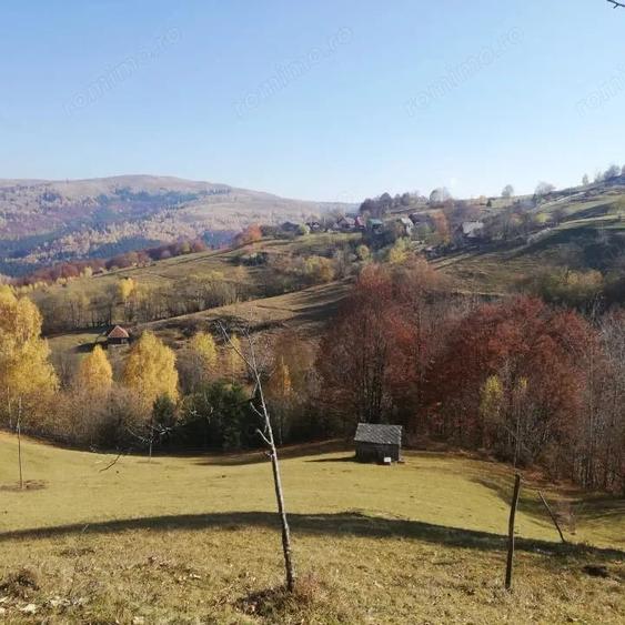 Teren de 10479 mp, în Răchițele