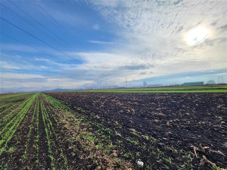 Teren Construcții extravilan de 28100 mp, în Hălchiu