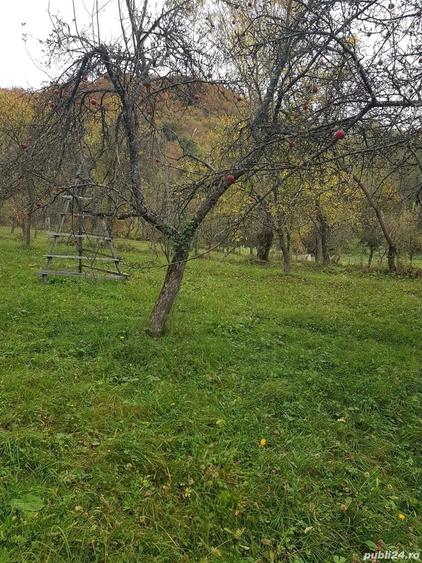Teren de 3560 mp, în Mușătești