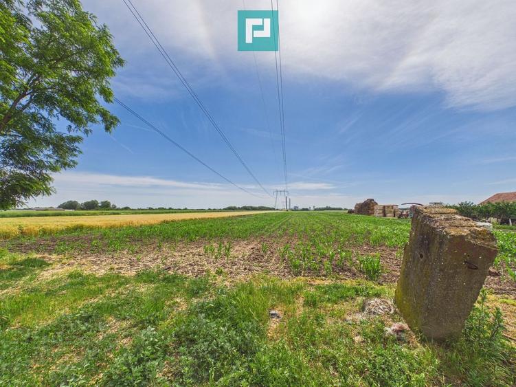 Teren agricol extravilan de 10000 mp, în Gai