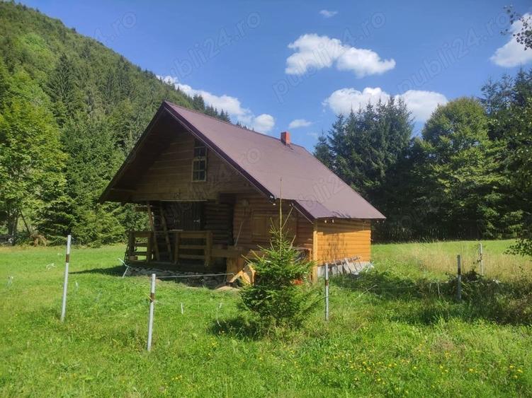 Teren de 9172 mp, în Pintic