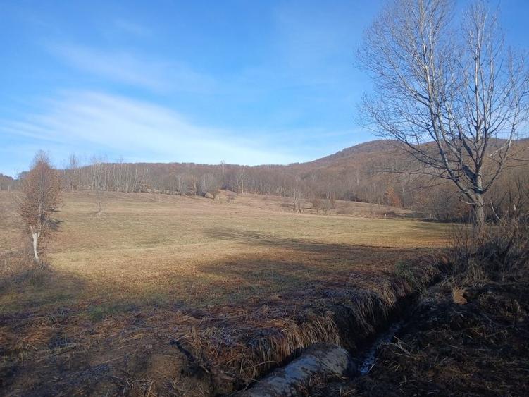 Teren de 1500 mp, în Săcădat