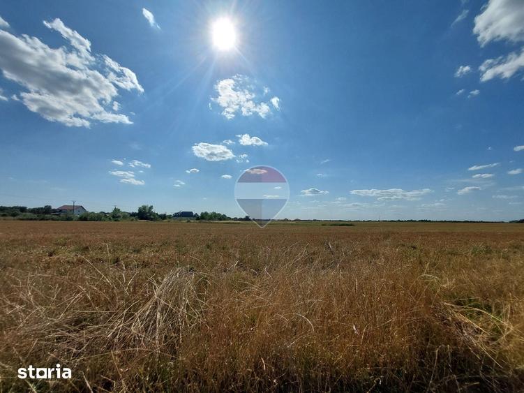 Teren de 1312 mp, în Ciolpani