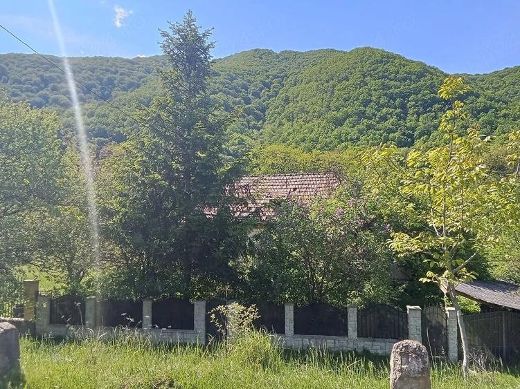 Teren de 1600 mp, în Central