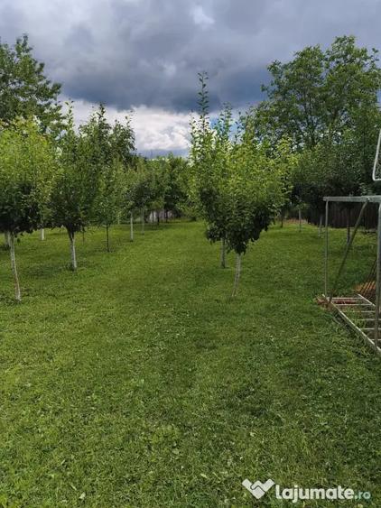 Casă cu 3 camere în Breaza de Sus