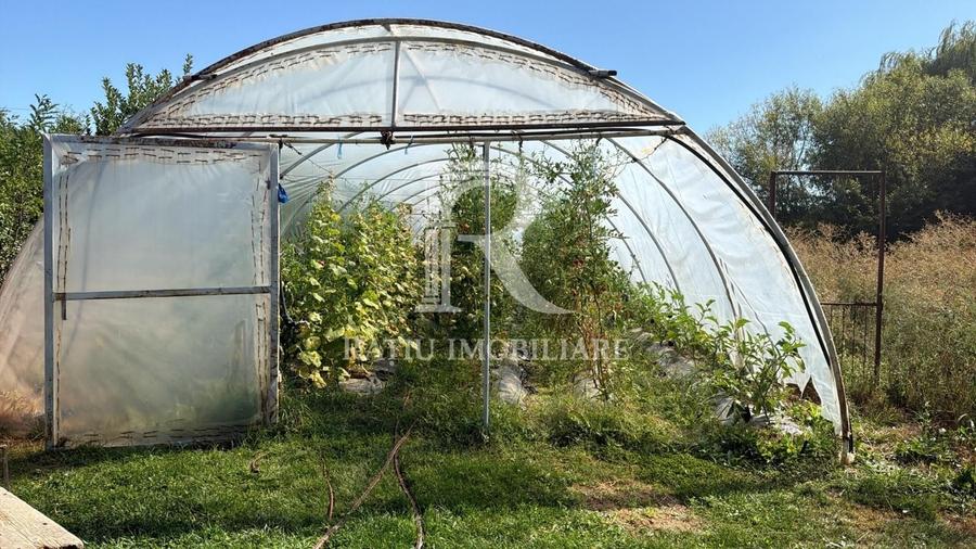 Casă individuală cu 6 camere cu Canalizare în Sărsig