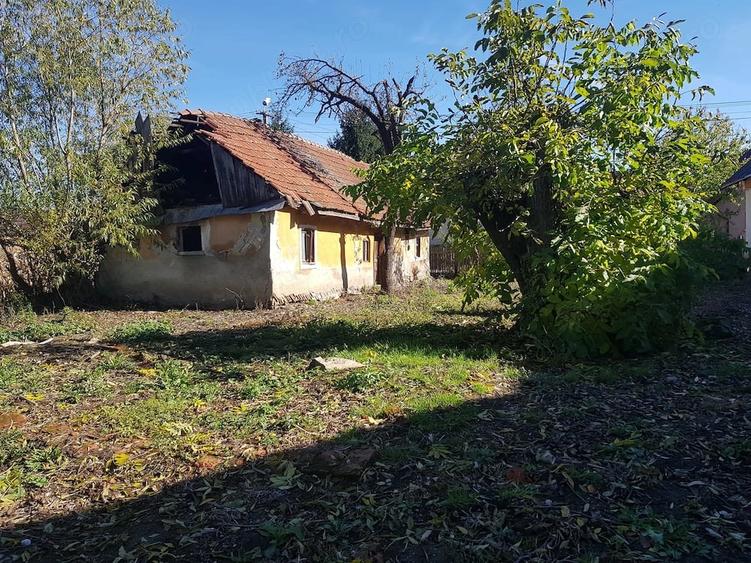Teren de 1991 mp, în Stupinii Prejmerului