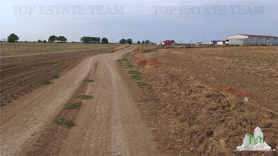 Teren agricol extravilan de 81906 mp, în Petrăchioaia