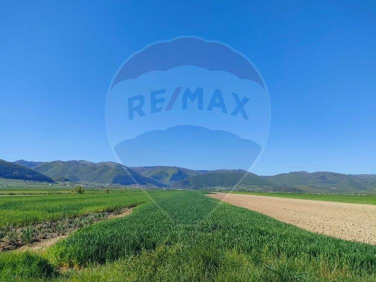Teren de 1724 mp, în Gura Râului