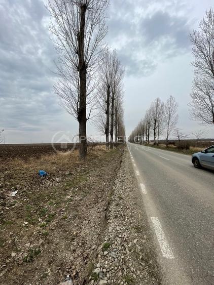 Teren agricol extravilan de 20000 mp, în Miroslava