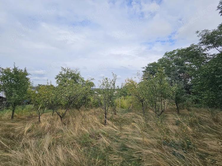 Casă cu Teren 2800 Mp în Bolotești