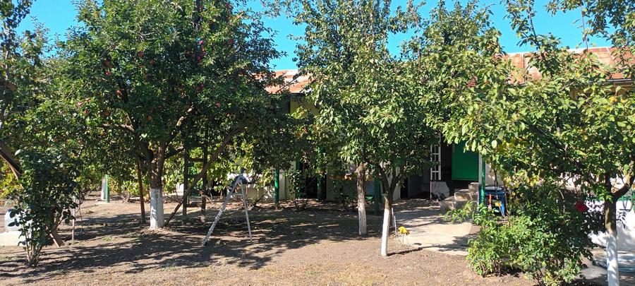 vanzare casa si teren - 9