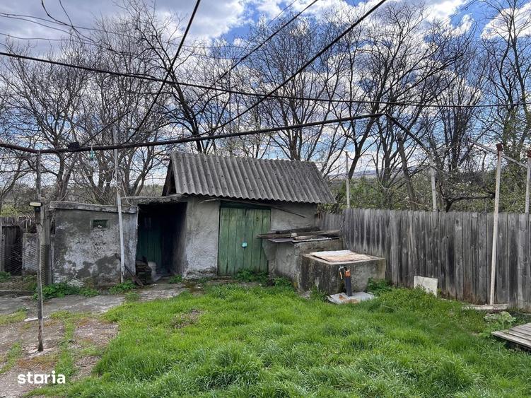 Casa 3 camere - Jaristea - 3