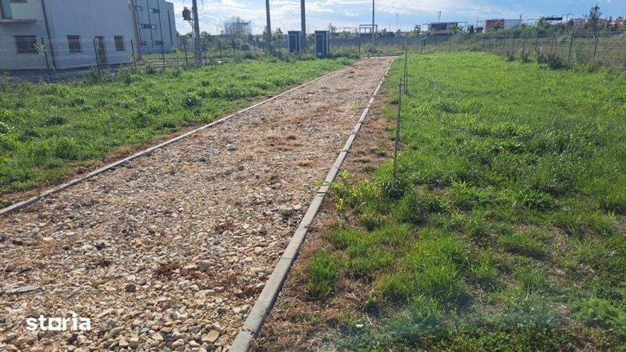Teren de 1000 mp, în Mogoșoaia