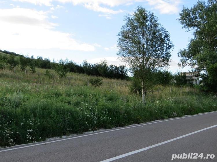 Teren de 3600 mp, în Gârcina