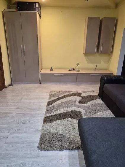 Apartament cu 2 camere semidecomandat în Podgoria