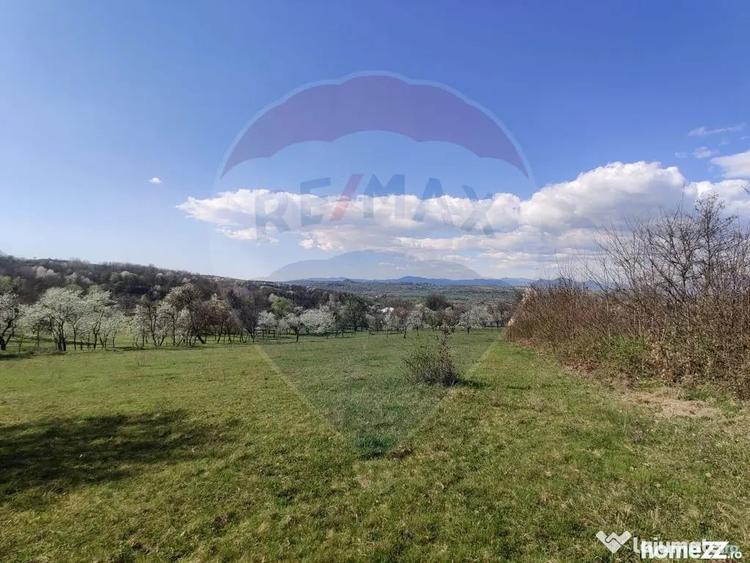 Teren în Cărbunari