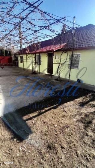 Casă cu 4 camere în Petrindu