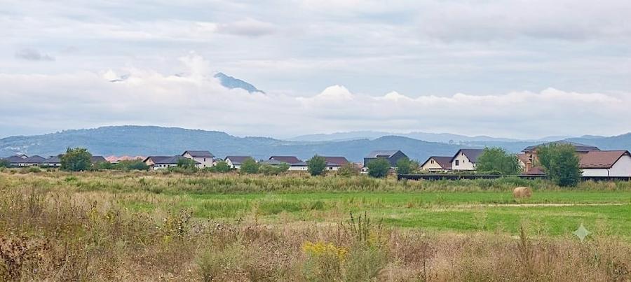 Teren Construcții intravilan de 6355 mp, în Cristian