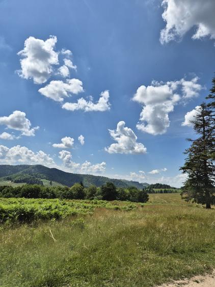 Teren Superb de Vanzare in Holbav, Jud. Brasov - 3546 mp, PUZ in Lucru - 1