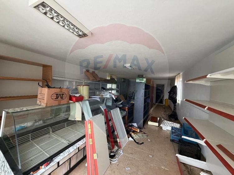 Casă individuală cu 5 camere cu Teren 1513 Mp în Câmpineanca