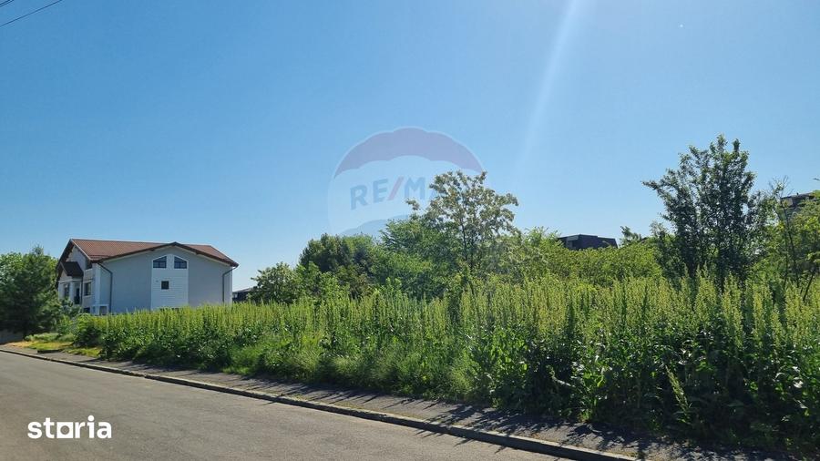 Teren de 2000 mp, în Ion Creangă